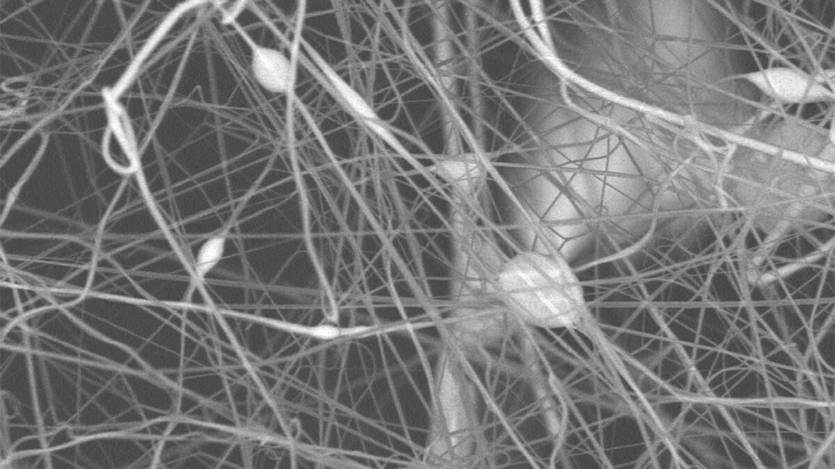 visione delle nanofibre al microscopio elettronico a scansione